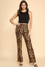 Leopard Print Dress Pants 1/3/25 9434