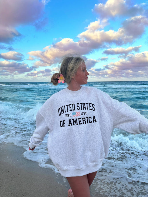 United States Of America Embroider Flag Sweatshirt PEARL GRAY